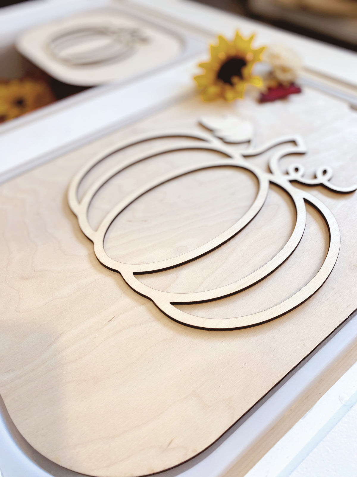Fillable TROFAST Insert Pumpkin Edition | FLISAT Insert