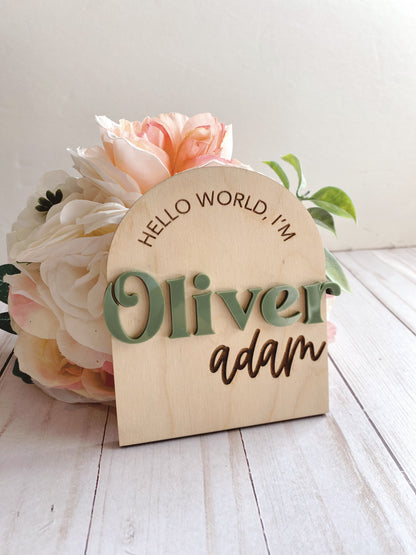 Baby Name Sign | Baby Name Announcement Sign