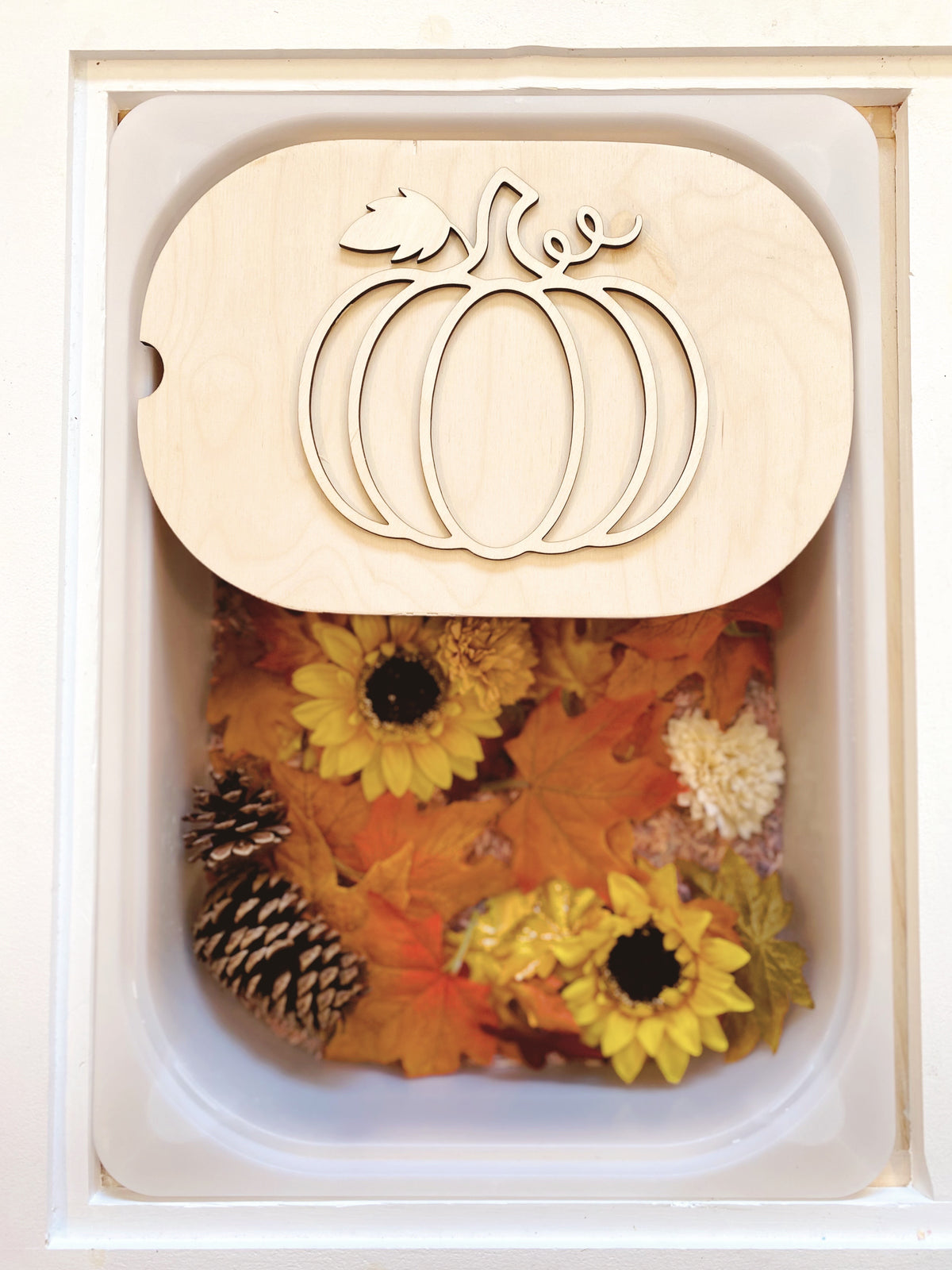 Fillable TROFAST Insert Pumpkin Edition | FLISAT Insert