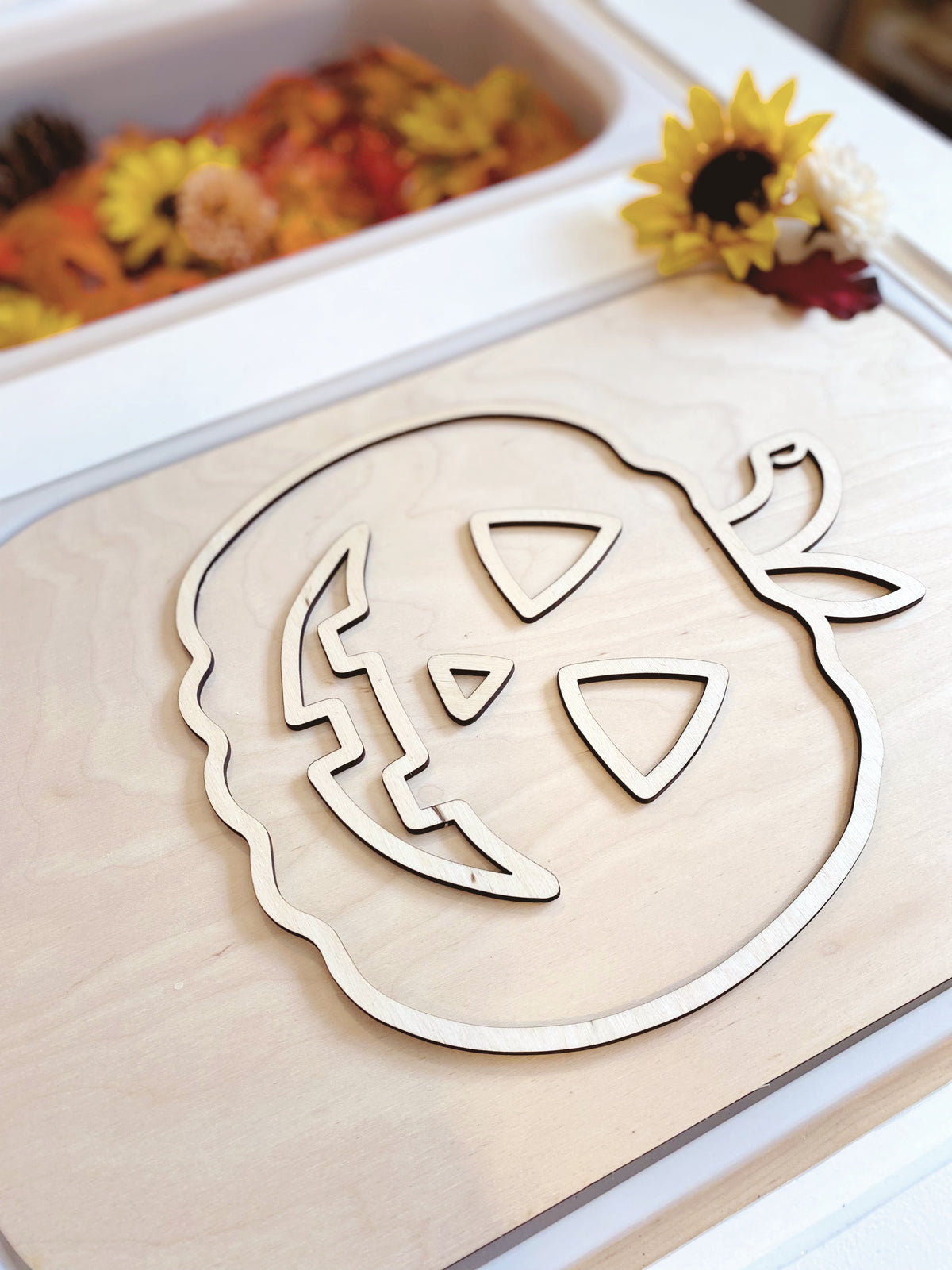 Fillable TROFAST Insert Jack-O-Lantern Edition | FLISAT Insert